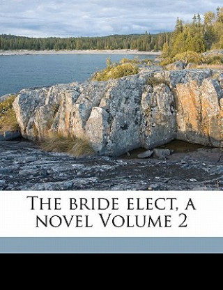 Buch The Bride Elect, a Novel Volume 2 Bride