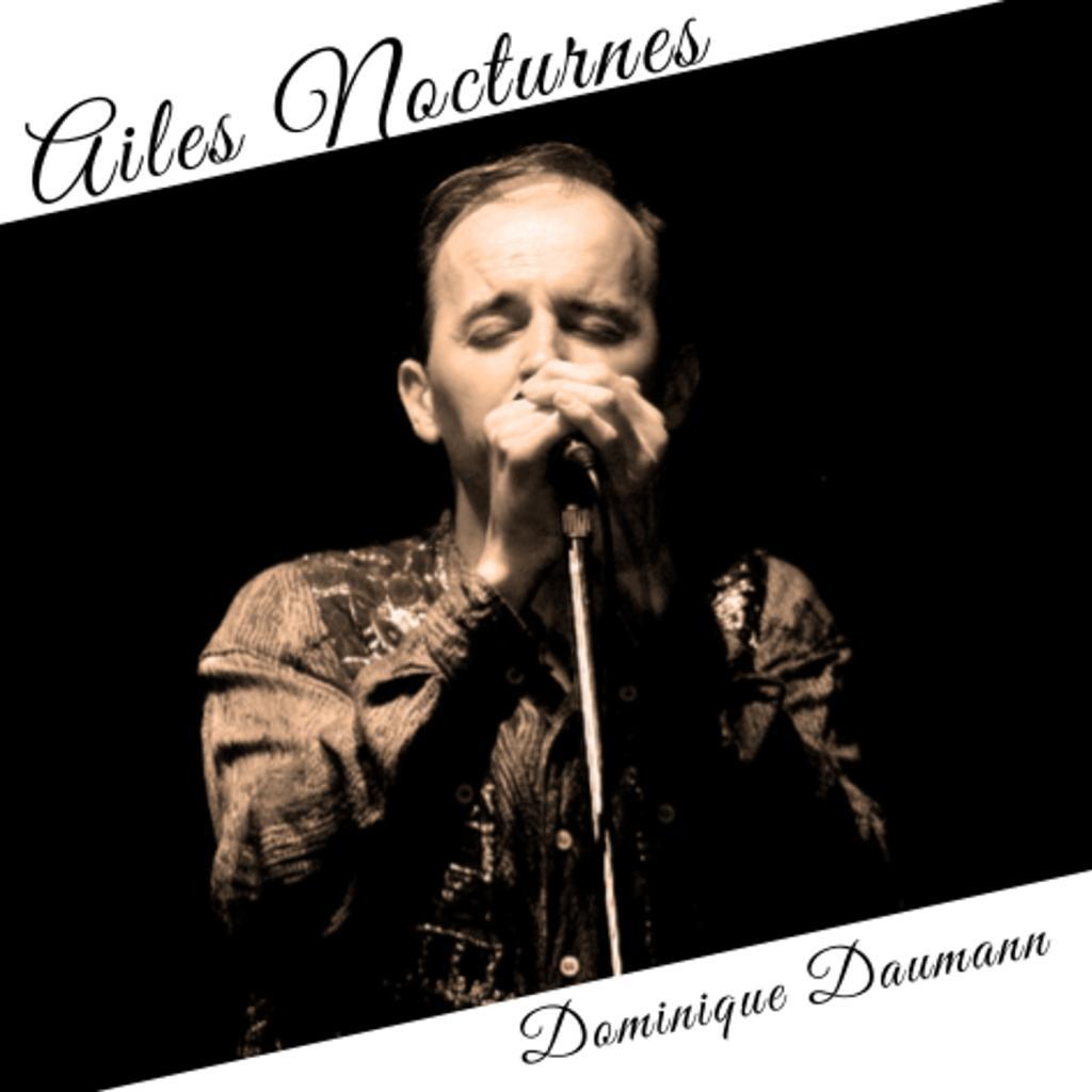 Аудио Ailes Nocturnes - Dominique Daumann DAUMANN
