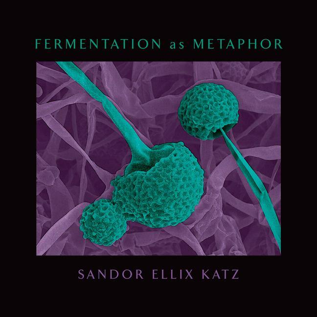 Книга Fermentation as Metaphor 