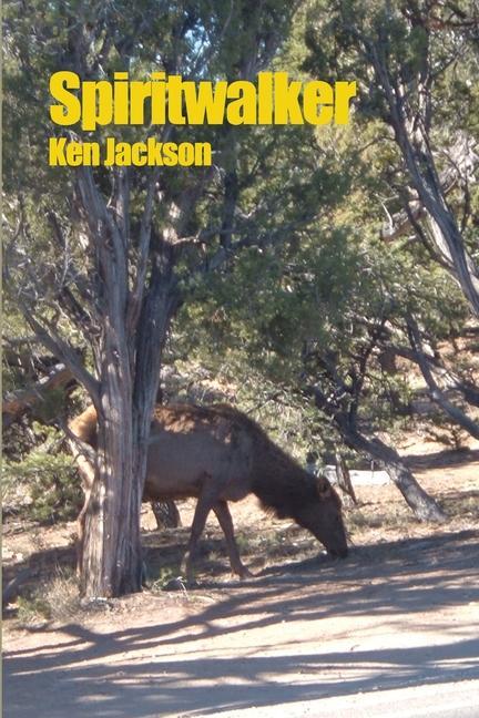 Knjiga Spiritwalker Ken Jackson