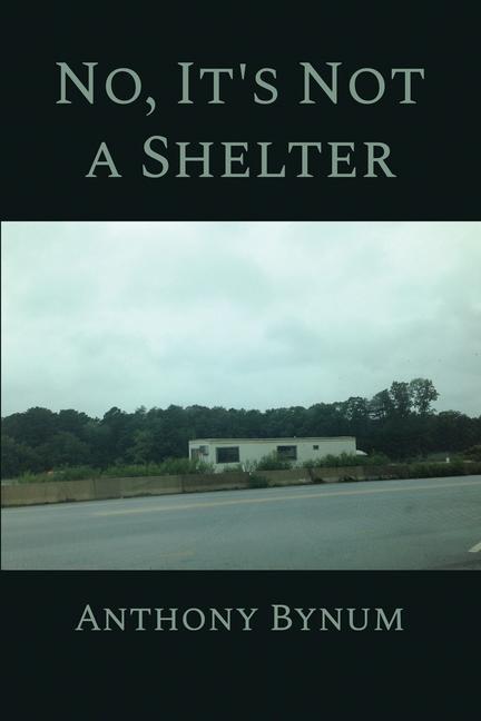 Книга No, It's Not a Shelter 