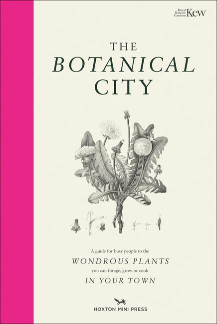 Книга Botanical City 