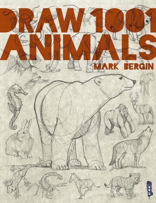 Kniha Draw 1,001 Animals 