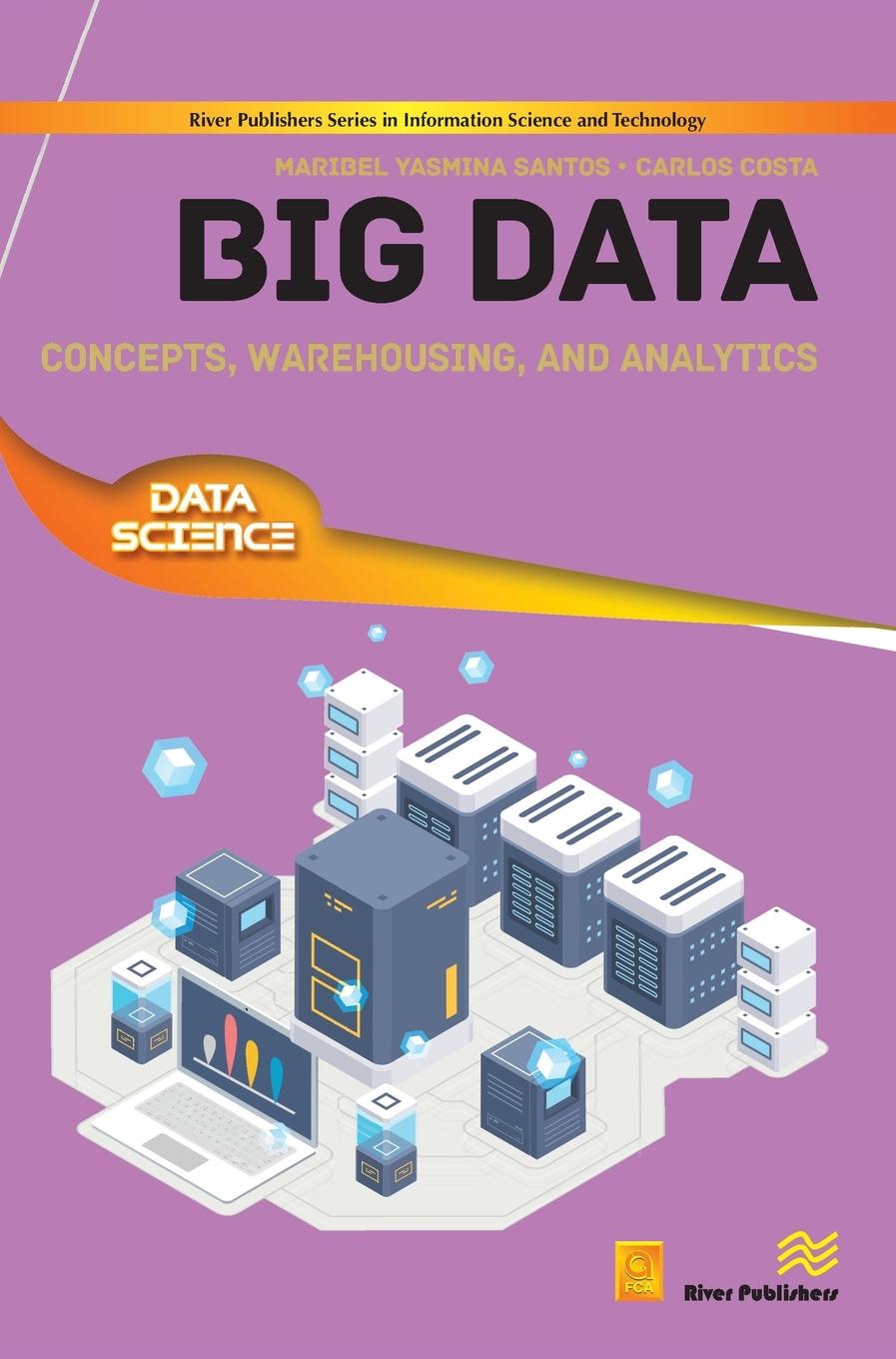 Könyv Big Data Carlos Costa
