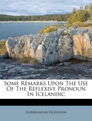 Kniha Some Remarks Upon the Use of the Reflexive Pronoun in Icelandic Guobrandur Vigfusson