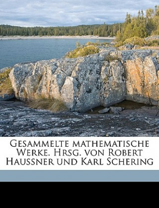 Książka Gesammelte Mathematische Werke. Hrsg. Von Robert Haussner Und Karl Schering Ernst Schering