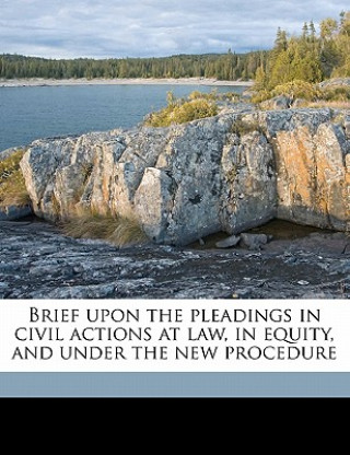 Libro Brief Upon the Pleadings in Civil Actions at Law, in Equity, and Under the New Procedure Austin Abbott