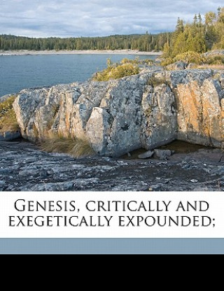Buch Genesis, Critically and Exegetically Expounded; Volume 2 August Dillmann