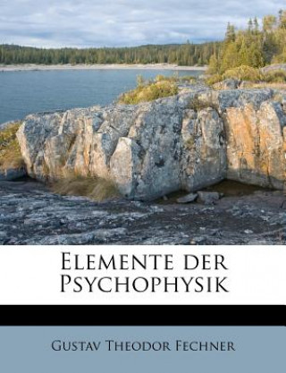 Libro Elemente Der Psychophysik Gustav Theodor Fechner