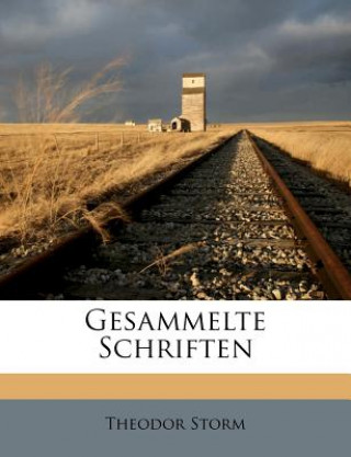 Kniha Gesammelte Schriften Theodor Storm