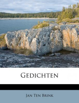 Libro Gedichten Jan Ten Brink