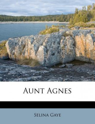 Book Aunt Agnes Selina Gaye