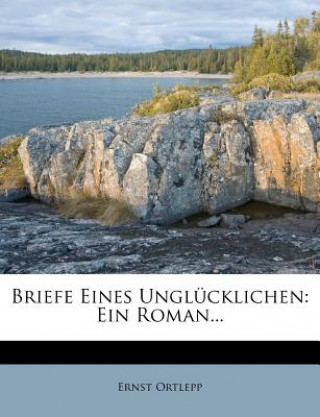 Livro Briefe Eines Unglücklichen: Ein Roman... Ernst Ortlepp
