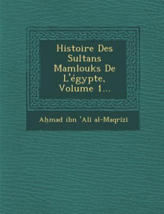 Kniha Histoire Des Sultans Mamlouks de L'Egypte, Volume 1... A&#7717;mad Ibn &#699;al&#299; Al-Maqr&#