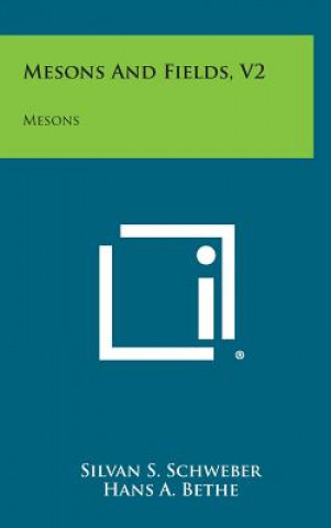 Knjiga Mesons And Fields, V2: Mesons Silvan S. Schweber