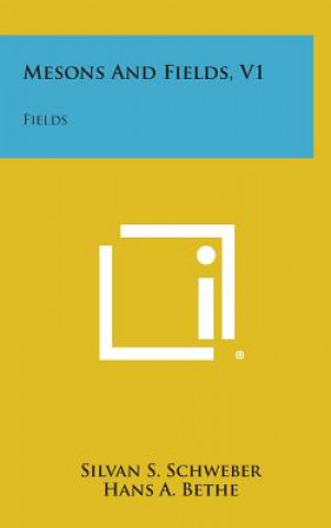 Book Mesons and Fields, V1: Fields Silvan S. Schweber