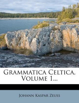 Kniha Grammatica Celtica, Volume 1... Johann Kaspar Zeuss