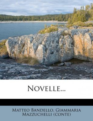 Książka Novelle... Matteo Bandello