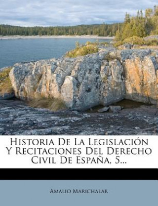 Kniha Historia de La Legislacion y Recitaciones del Derecho Civil de Espana, 5... Amalio Marichalar