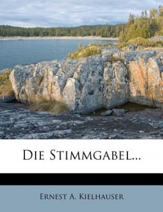 Buch Die Stimmgabel... Ernest A. Kielhauser