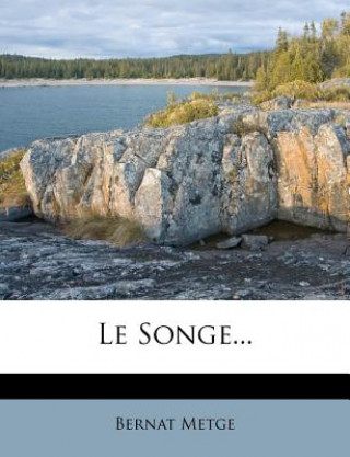 Kniha Le Songe... Bernat Metge