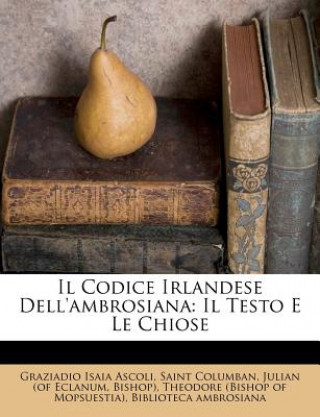 Kniha Il Codice Irlandese Dell'ambrosiana: Il Testo E Le Chiose Graziadio Isaia Ascoli
