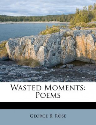 Buch Wasted Moments: Poems George B. Rose