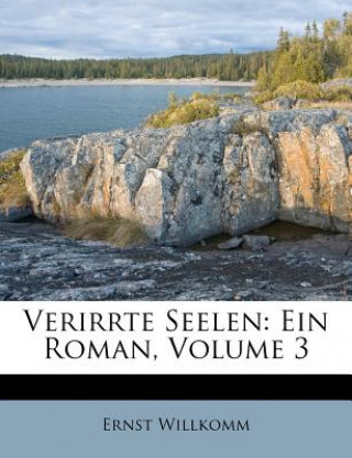 Libro Verirrte Seelen: Ein Roman, Volume 3 Ernst Willkomm