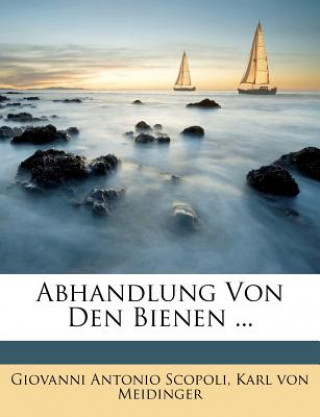 Buch Abhandlung Von Den Bienen ... Giovanni Antonio Scopoli