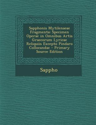 Kniha Sapphonis Mytilenaeae Fragmenta: Specimen Operae in Omnibus Artis Graecorum Lyricae Reliquiis Excepto Pindaro Collocandae Sappho
