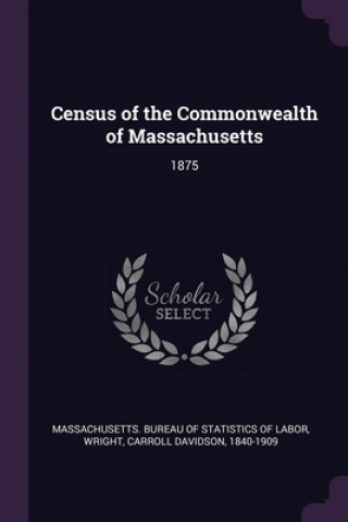 Carte Census of the Commonwealth of Massachusetts: 1875 Massachusetts Bureau of Statistics of L.