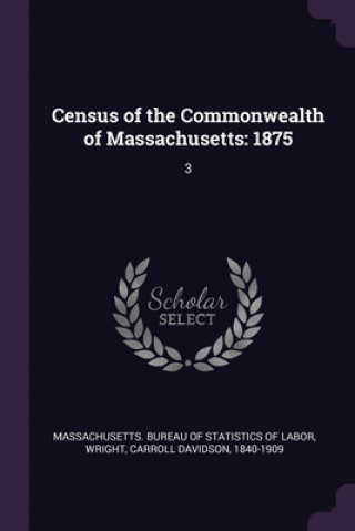 Carte Census of the Commonwealth of Massachusetts: 1875: 3 Massachusetts Bureau of Statistics of L.