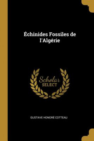 Carte Échinides Fossiles de l'Algérie Gustave Honore Cotteau