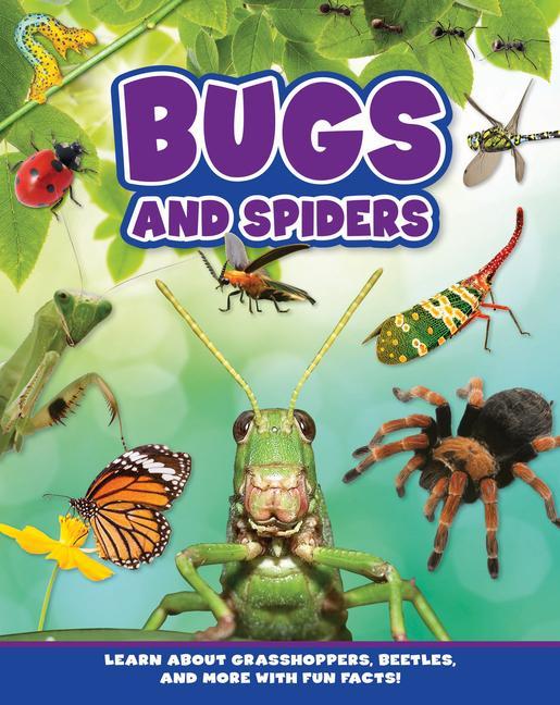 Knjiga Bugs and Spiders Flying Frog