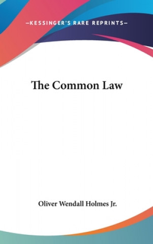 Könyv The Common Law Oliver Wendall Holmes Jr
