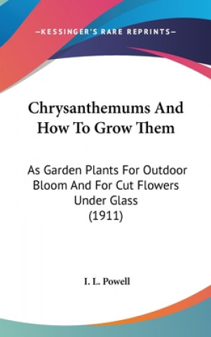 Buch Chrysanthemums And How To Grow Them: As Garden Plants For Outdoor Bloom And For Cut Flowers Under Glass (1911) I. L. Powell