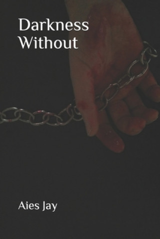 Buch Darkness Without Aies Jay