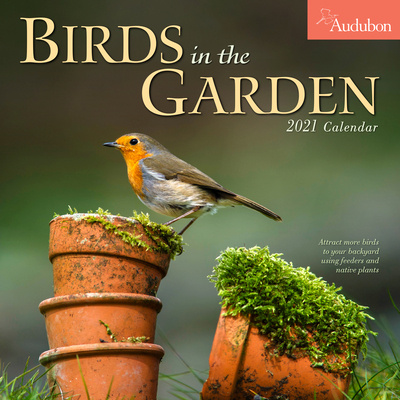 Kalendář/Diář 2021 Audubon Birds in the Garden Wall Calendar National Audubon Society