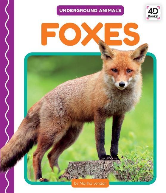 Buch Foxes Martha London