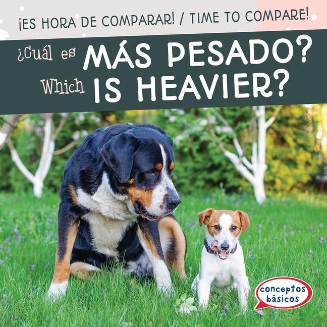 Boek ?cuál Es Más Pesado? / Which Is Heavier? Jagger Youssef
