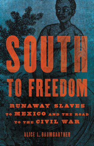 Könyv South to Freedom Alice L. Baumgartner