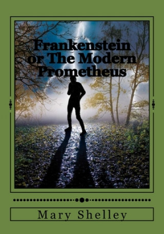 Kniha Frankenstein or The Modern Prometheus Andrea Gouveia
