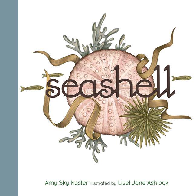 Knjiga Seashell Amy Sky Koster