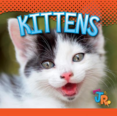 Carte Kittens Jen Besel