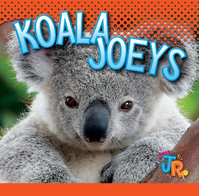 Kniha Koala Joeys Jen Besel