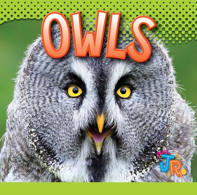 Libro Owls Marysa Storm