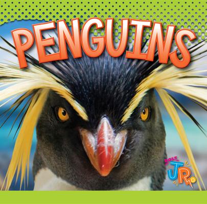 Βιβλίο Penguins Marysa Storm