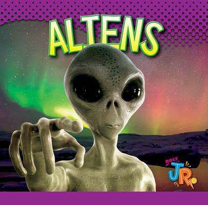 Buch Aliens Marysa Storm