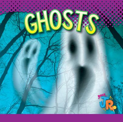 Buch Ghosts Marysa Storm