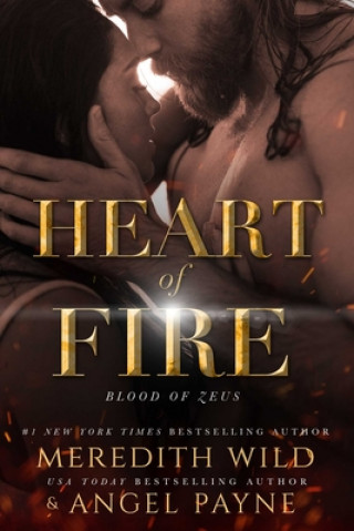Kniha Heart of Fire Meredith Wild